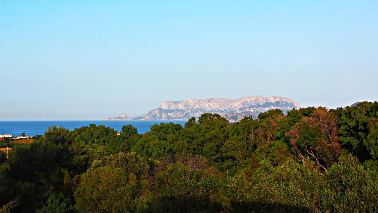 Sole Matto Rooms Olbia Eksteriør billede