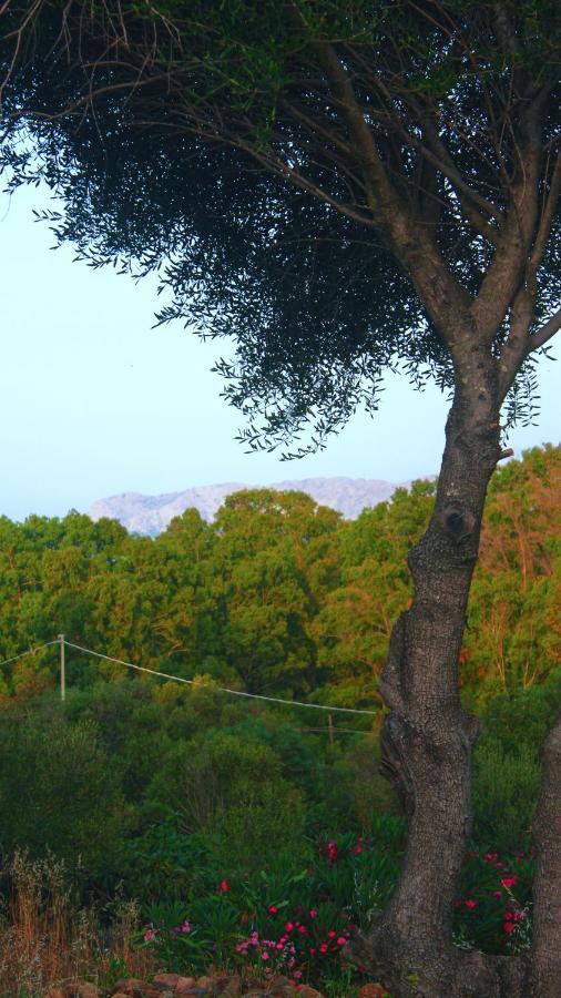 Sole Matto Rooms Olbia Eksteriør billede