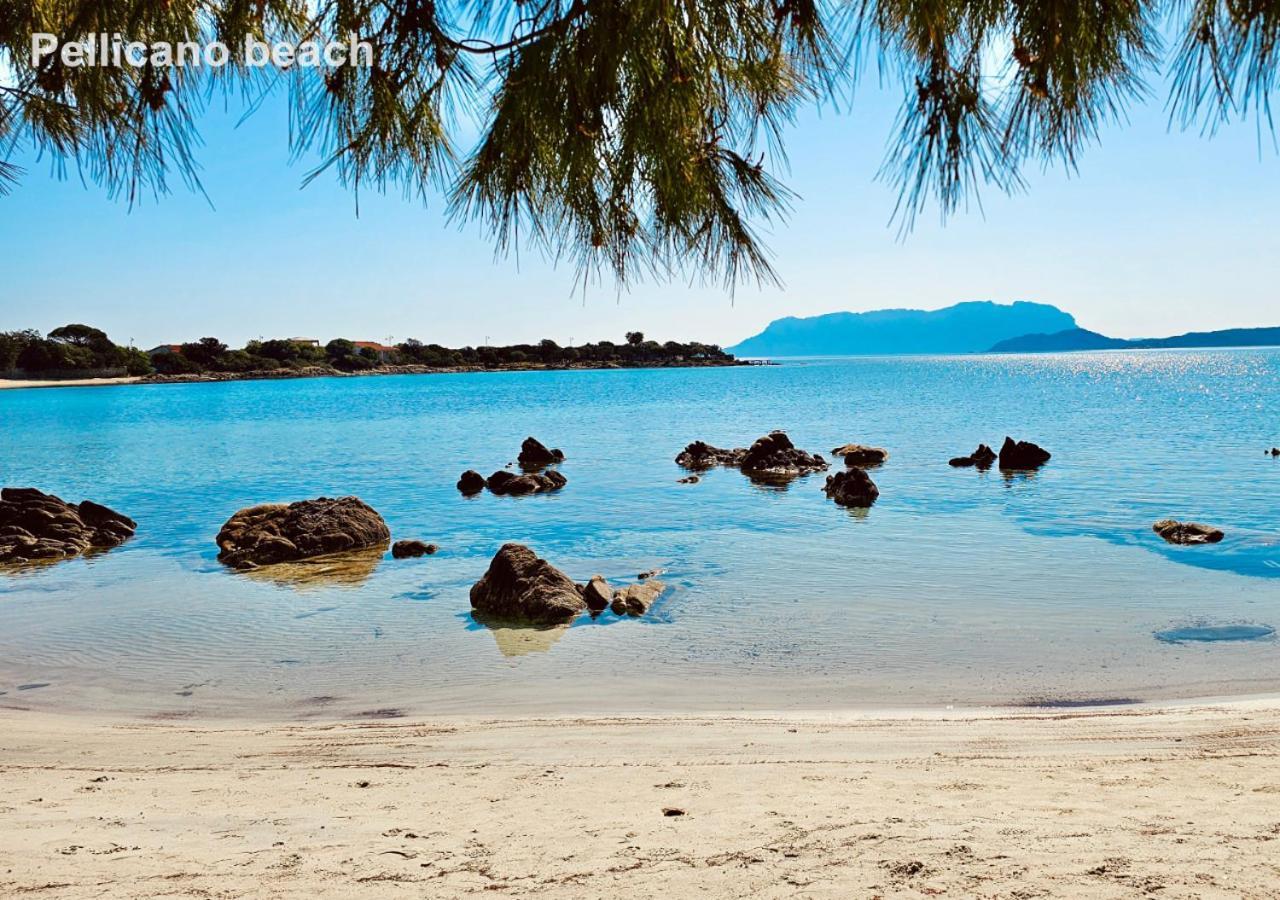Sole Matto Rooms Olbia Eksteriør billede